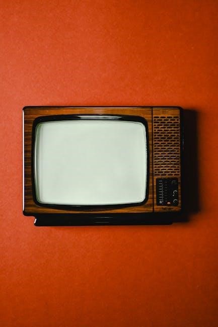 tv guide punta gorda